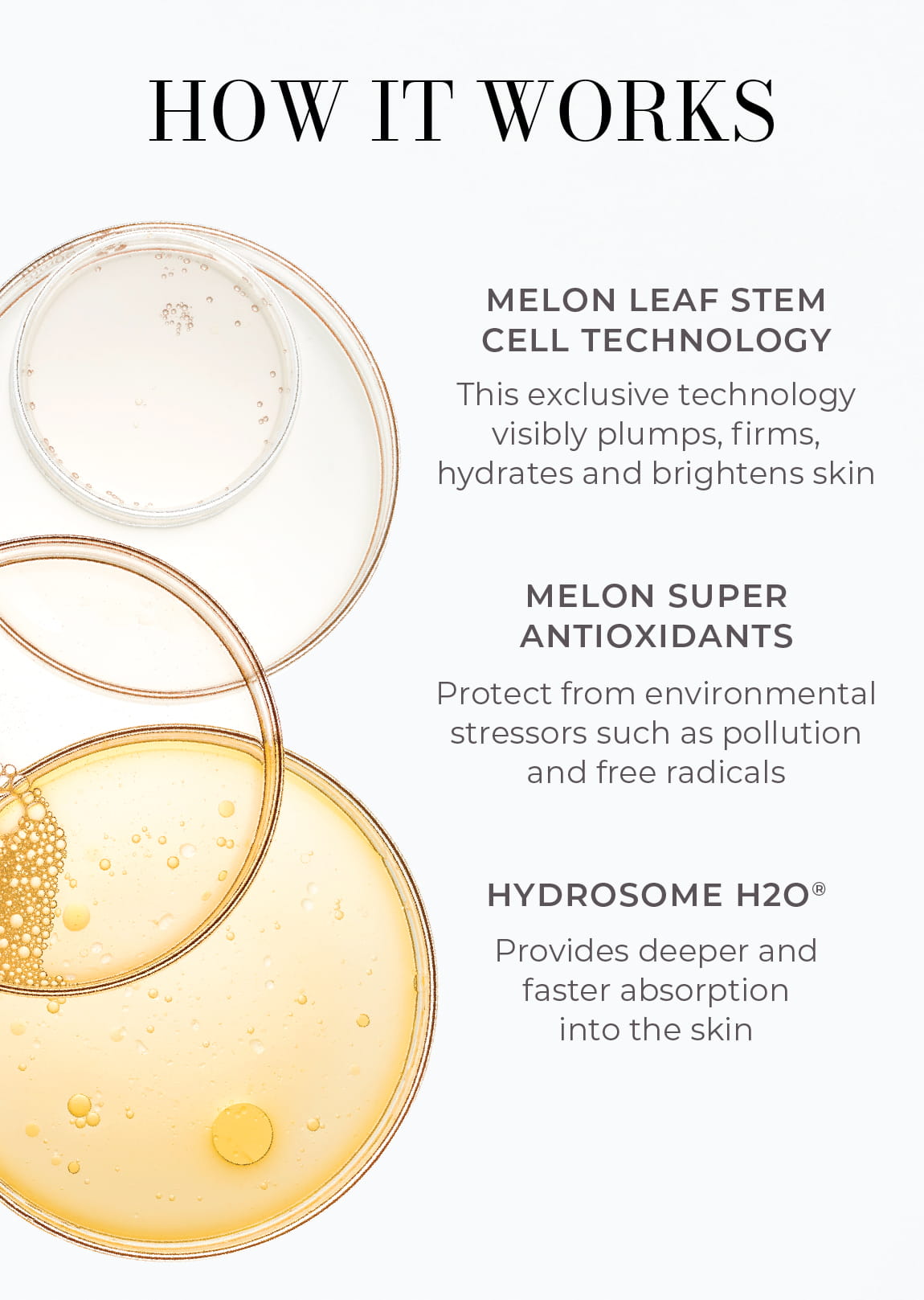 3-Piece Essentials Bodycare System